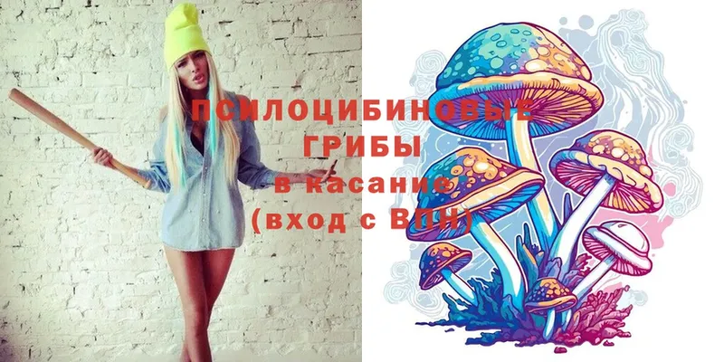 Галлюциногенные грибы Magic Shrooms  mega ссылка  Бакал 